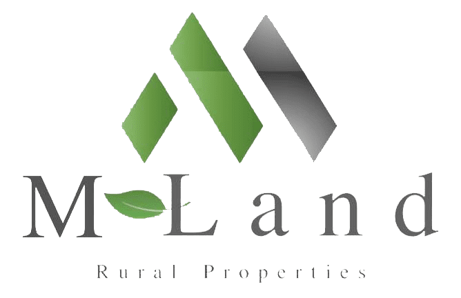 logo-transparent